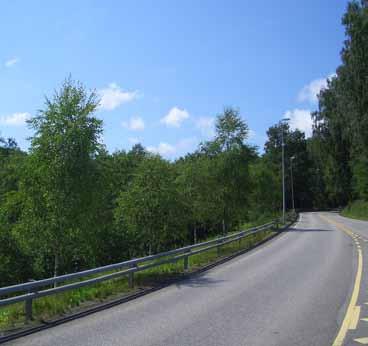 Plassering: Avstand til asfaltkant er 4 m. Overflaten rundt er grasbakke. Fysiske objekter som påvirker alleen: Strømkabel går rett over trekronene. s verdi Landskapsbildet: Lite eksponert.