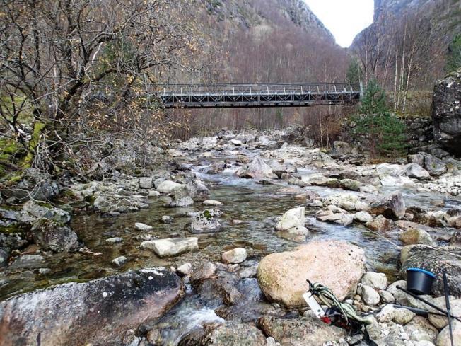 Alderen ble bestemt ved analyse av otolitter (øresteiner)