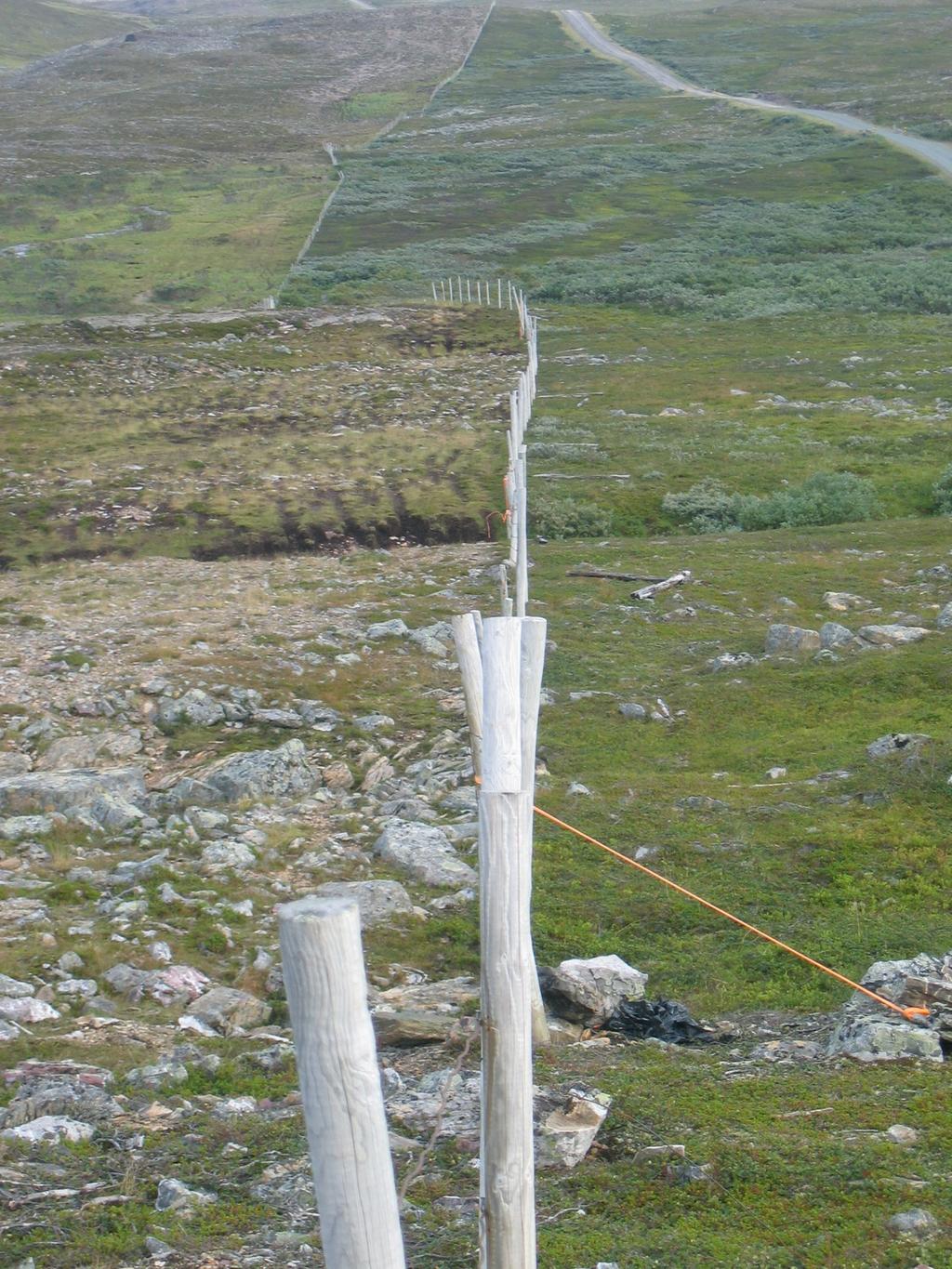 Skillegjerde for rein Ifjordfjellet, Finnmark Beitedyr