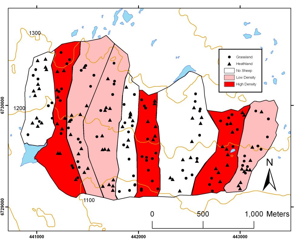 Community Change 2001 Ungrazed Low sheep density High sheep density 2009 Ungrazed Low sheep density High sheep density Ordination constrained on altitude PC1-4 -2 0 2 4 Altitude