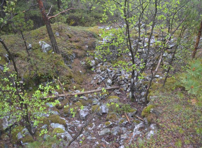 Dei tre siste vert også tolka som