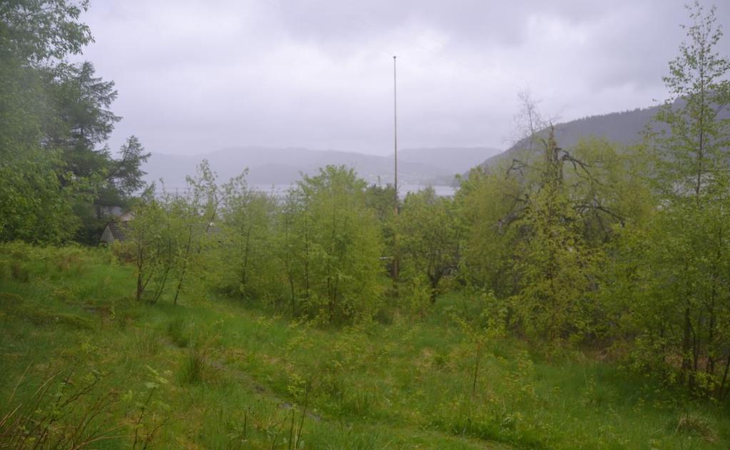 Terrenget er kuppert og stig bratt opp frå fjorden.