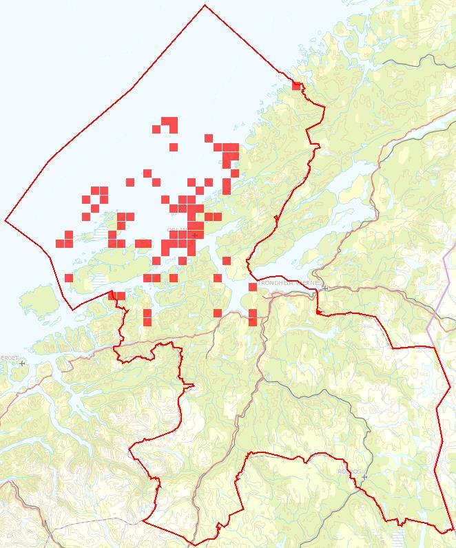 Global Rødliste: Sårbar (VU) Norsk Rødliste: Sårbar (VU) Lunde Fratercula arctica Norges antatte andel av europeisk bestand er 25 50 %, og av global bestand 5 25 %.