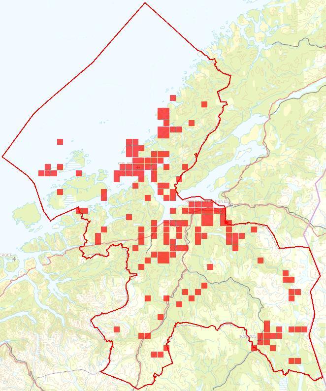 Horndykker Podiceps auritus Global Rødliste: Sårbar (VU) Norsk Rødliste: sårbar (VU) Norges antatte andel av europeisk bestand er 5-25 %, og av global bestand 1-5 %.