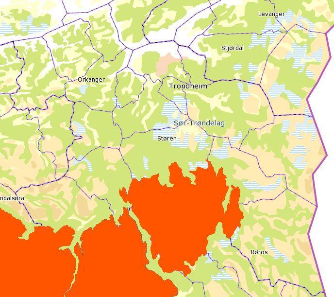 Globalt truede landpattedyr og fugler i Sør-Trøndelag Global Rødliste: Sårbar (VU) Norsk Rødliste: Livskraftig (LC) Villrein Rangifer tarandus Villreinen er en ansvarsart for Norge og har svært stor