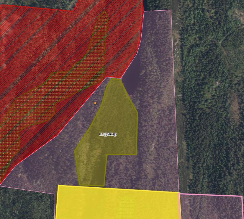 Figur 13. Rosa gjennomsiktig areal viser forslag til avgrensning av reservatet. Gult viser undersøkelsesarealet og rødt Prekestolen NR.