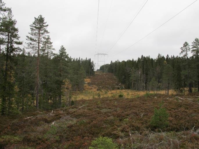 En kraftledning går igjennom sentrale deler av området i nord/sør-retning.