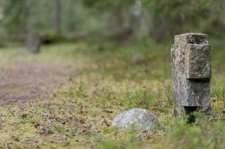 I dag er skogen et minnested for dem som mistet sine liv der. Omviseren tar dere med inn i skogen der gravene ligger langs stien.