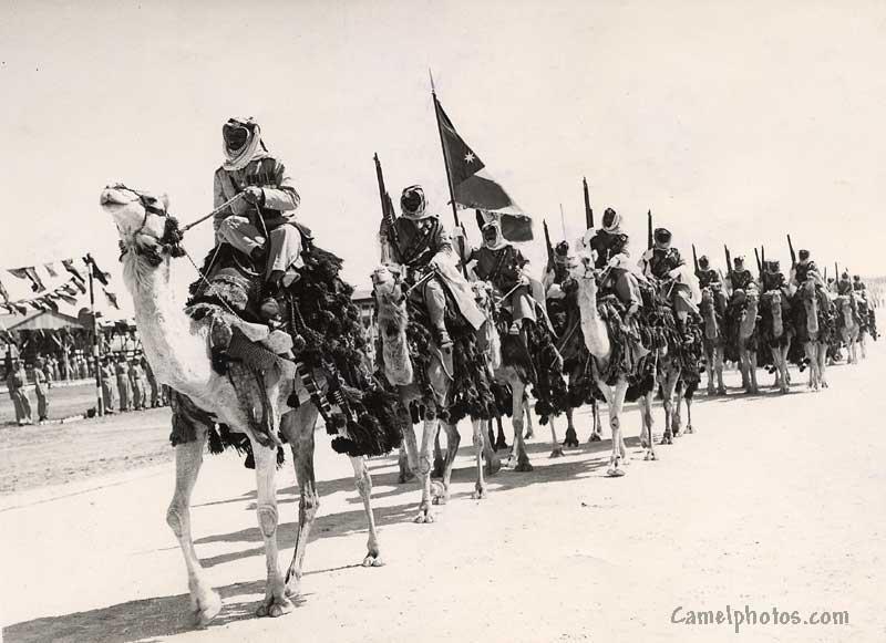 Ørkenpatruljen 1931-33 Ørkenpatruljen rir ut fra en beduinleir.