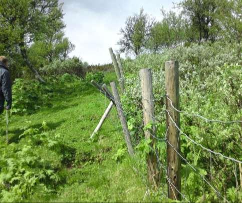 uttørking/forsumping, tidlig beiteslipp om våren,