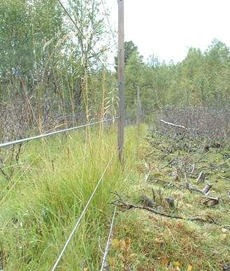 Beitetid/opptak - plantegrupper på utmarksbeite (Van Dyne 1980; Garmo m.fl. 1990; Bøe m.fl. 2000, Nordheim m.fl. 2005; Todnem 2009.