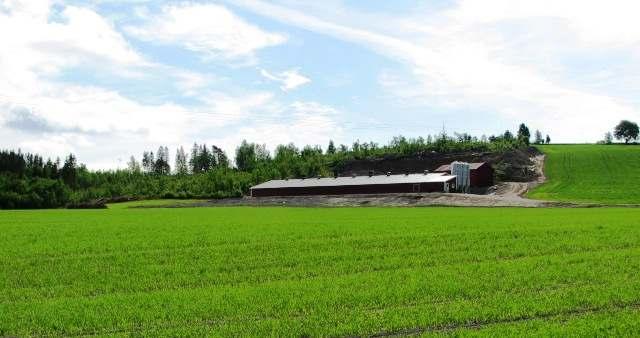 Det er derfor viktig at bestående skog i område avsatt til landbruk, bevares som en vegetasjonsskjerm.