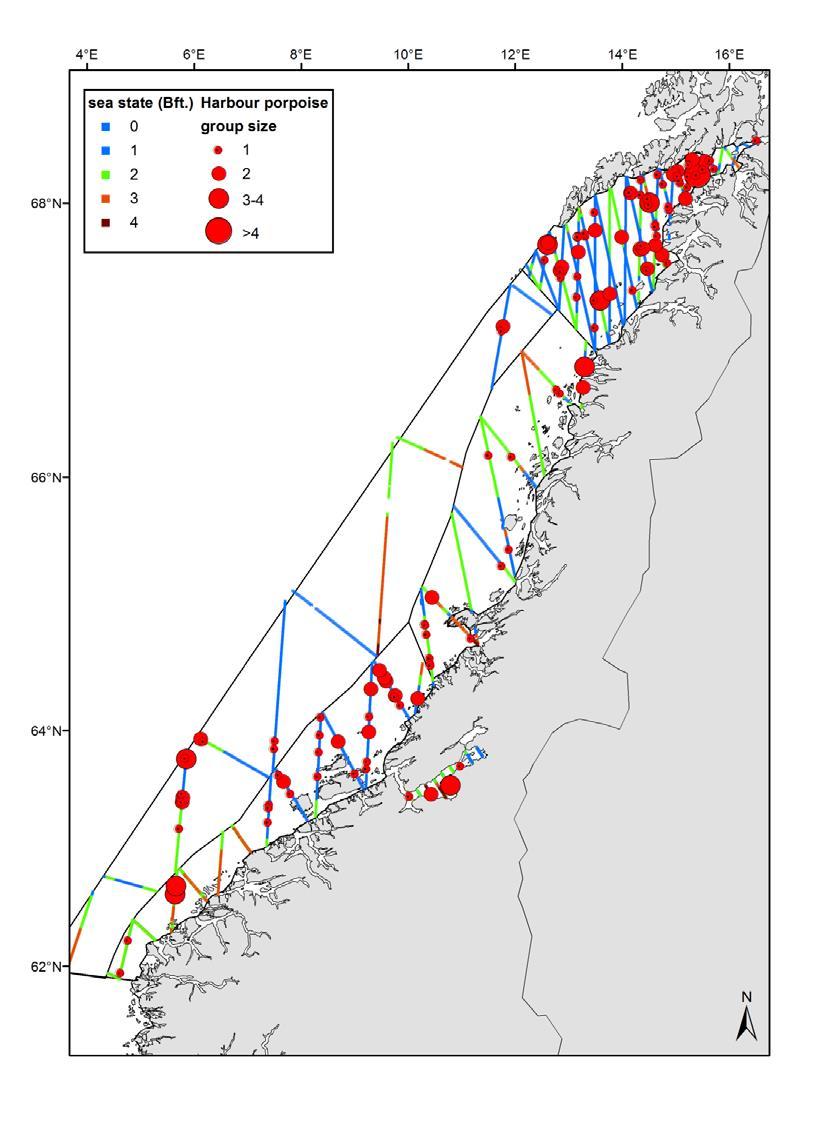 Flytellingen langs norskekysten nord for 62-graden; viser transekt-dekning fordelt på Beaufort og observasjoner av nise skalert med gruppestørrelse.