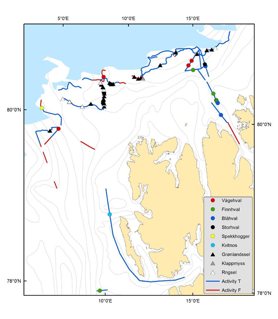 Kartet viser registrerte observasjoner av sjøpattedyr og observasjonsaktivitet under Arktisk tokt i første halvdel av september 2016.