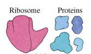 av ulike ioner, små molekyler og makromolekyler Tettheten av disse