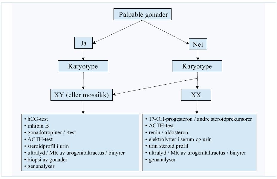 11.3 Forstyrrelser i kjønnsutvikling/disorders of sex development-dsd A Leknessund Bakgrunn I nyfødtperioden vil dette dreie seg om barn født med uklare ytre kjønnskarakteristika.