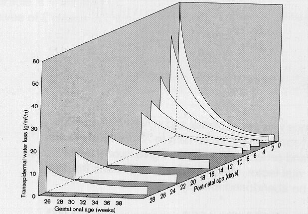 14.1 Generelt om væskebalanse og ernæringsbehov Væskebehov/væsketap "Standard væskebehov" Væsketap 1. døgn 60 ml/kg Urin 2. døgn 80 ml/kg 1-3 ml/kg/time = 25-75 ml/kg/døgn 3.