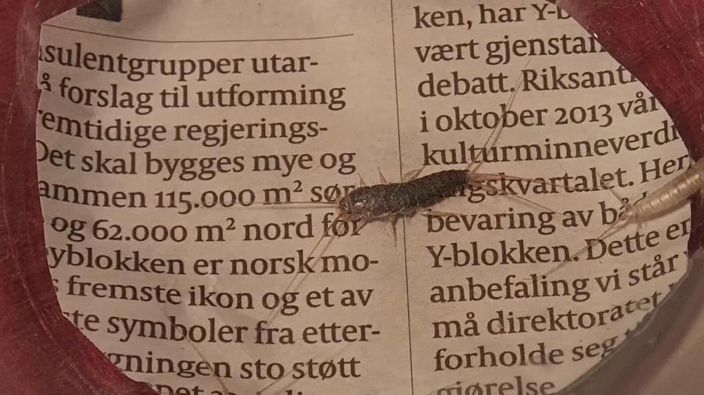 Oppsummering symptomer etter vannskader Hva ser man? Er det entydig hva de betyr? Blir det et overdrevent fokus på enkelte faktorer?