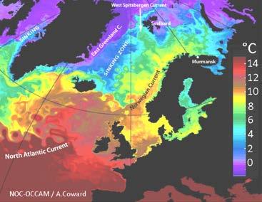 Hekkesuksess sortert etter sjøtemperatur SST Pelagiske regimeskift Beaugrand et al (2015) Phil Trans R Soc B 75/76 88/89 98/99 ~07? ~16?