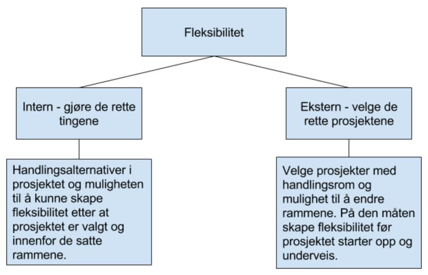 Figur 3: Typer fleksibilitet. I prosjekter kan det være ulike årsaker til at det ønskes fleksibilitet. Det kan være usikkerheter i forutsetninger, varighet i prosjekter eller manglende forberedelser.