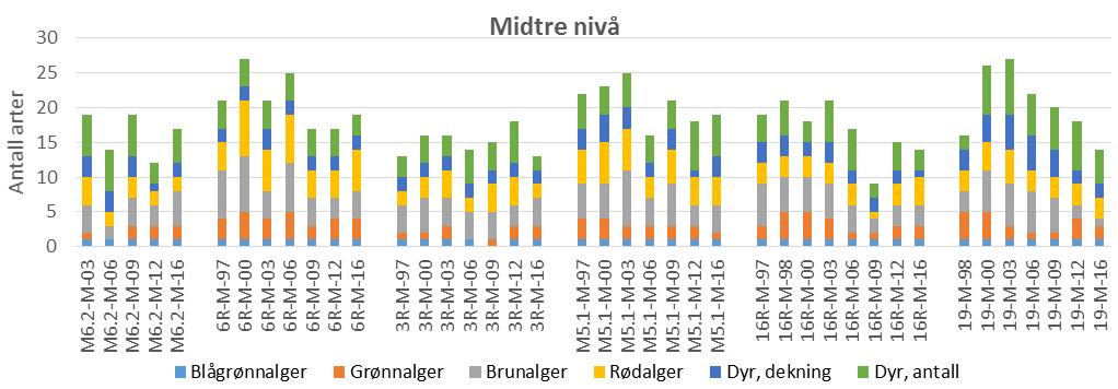 grønnalger, blågrønnalger, fastsittende dyr