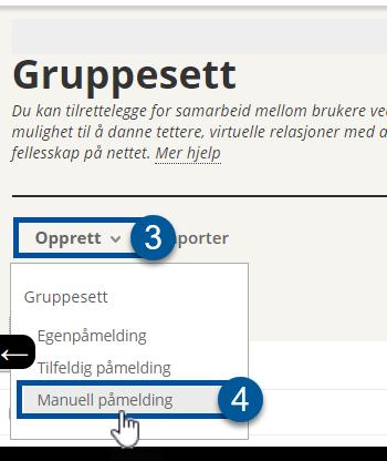 Enkeltgrupper kan være aktuelt ved f.eks. referansegruppe i faget e.l. 2.