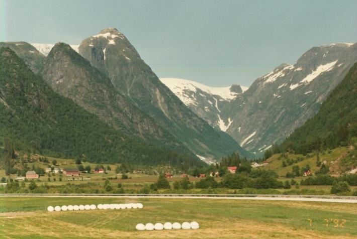 FYLKESMANNEN I SOGN OG FJORDANE Utviklingstrekk i landbruket 1) Tradisjonelt landbruk i omstilling Færre og større bruk Nye former for samdrifter Nye nisjeprodukt innan frukt og bær