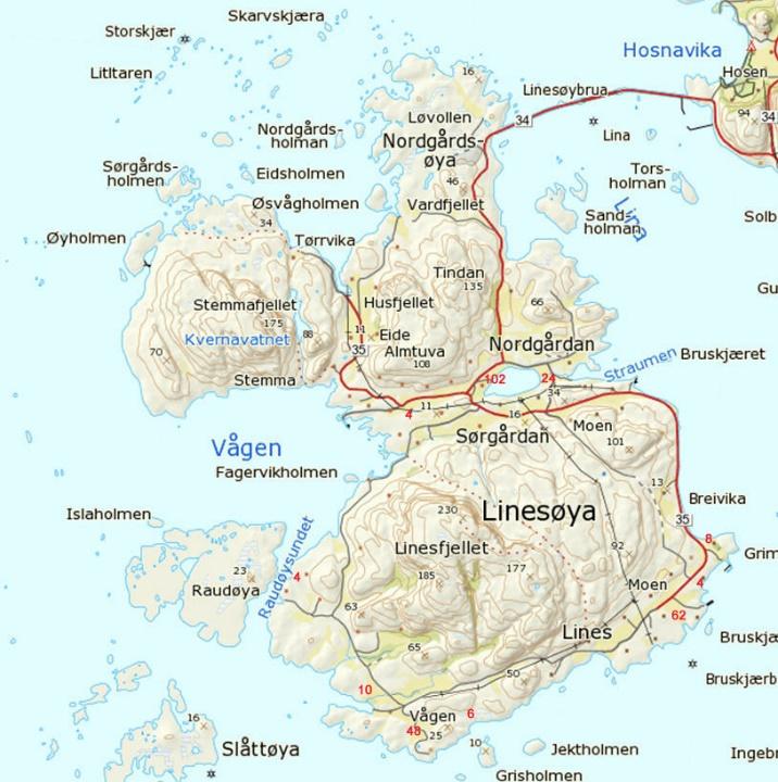 Bestandsanslag Hekkende grågås er anslagsvis 100 150 par på Linesøya i dag. De beitende flokkene av unggjess kan variere fra 40 til vel 100 individ. 14.05.