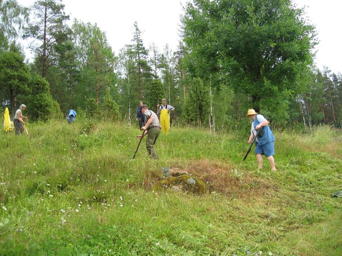 Tiltak for å ivareta biologisk mangfold Tiltak for å ivareta biologisk mangfold Skjøtsel av slåttemark og slåttemyr Det gis tilskudd til skjøtsel av slåttemark.