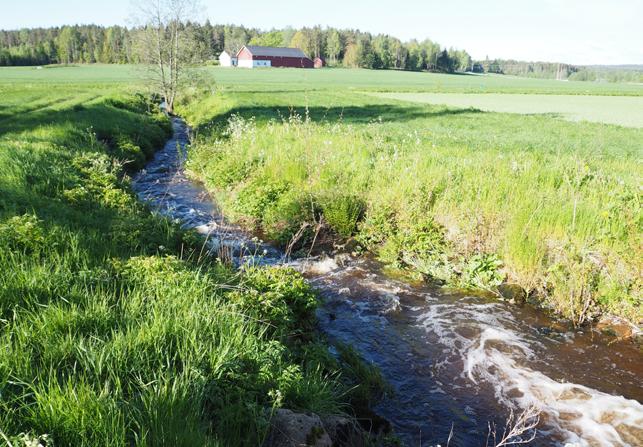 De regionale miljøkravene lyder som følger: 1. Erosjonsutsatte dråg skal ikke jordarbeides om høsten. Ved pløying eller tilsvarende jordarbeiding om høsten, skal drågene ha permanent grasdekke. 2.