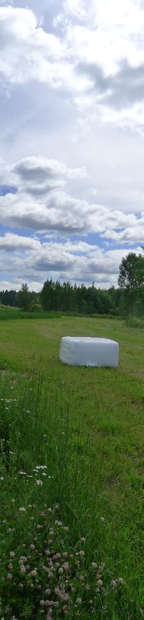 tilskuddsordningene med beskrivelser, vilkår