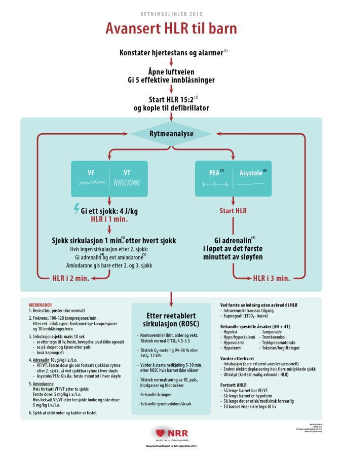 Retningslinjer 2015 AHLR på barn og spedbarn 2015-retningslinjene for gjenoppliving innebærer ingen store endringer i hvordan man utfører AHLR på barn og spedbarn.