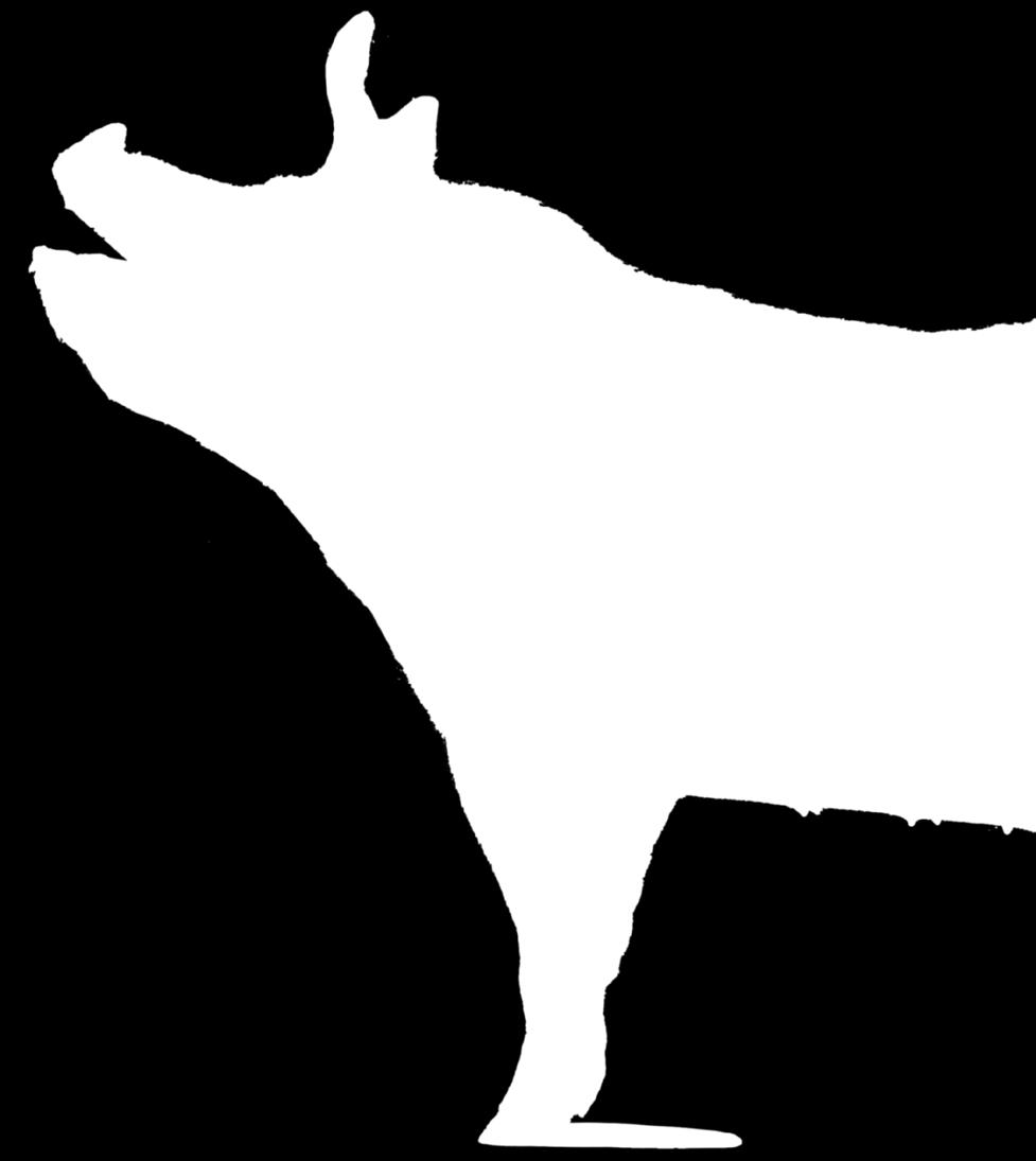 Den kontinuerlige utviklingen gjennom avlsarbeidet har bidratt til å gi norske svineprodusenter et friskt og konkurransedyktig dyremateriale.