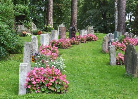 Gravminne og beplantning dekker