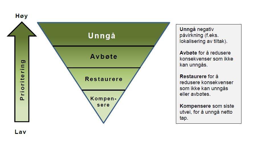 For å utøve en arealforvaltning slik naturmangfoldloven legger opp til, må lokale og statlige myndigheter ta den kunnskapsbaserte forvaltningen ett hakk opp fra kun å vektlegge naturtyper og