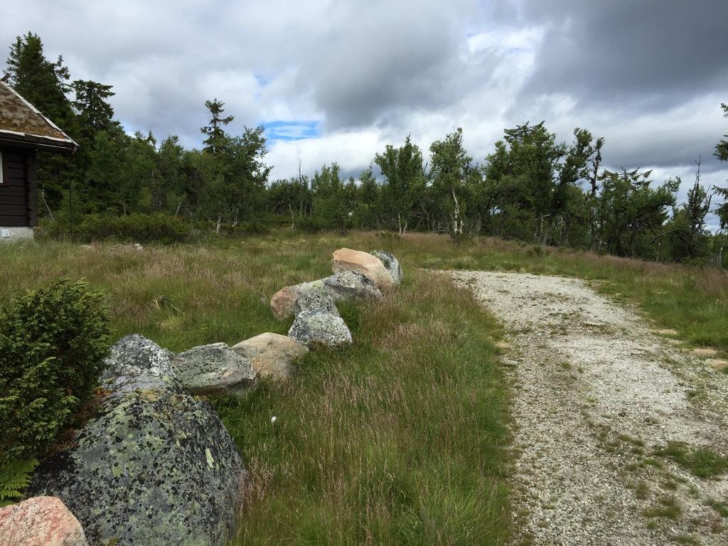 Fig. 3. Planområdet sett fra sør, fra enden av eksisterende veg. Skjenfjellvegen 44 til venstre i bildet. 2.4. Eiendomsforhold Eier av gnr 90 bnr 12 er Heidrun Sørlie Røhr fra 1.