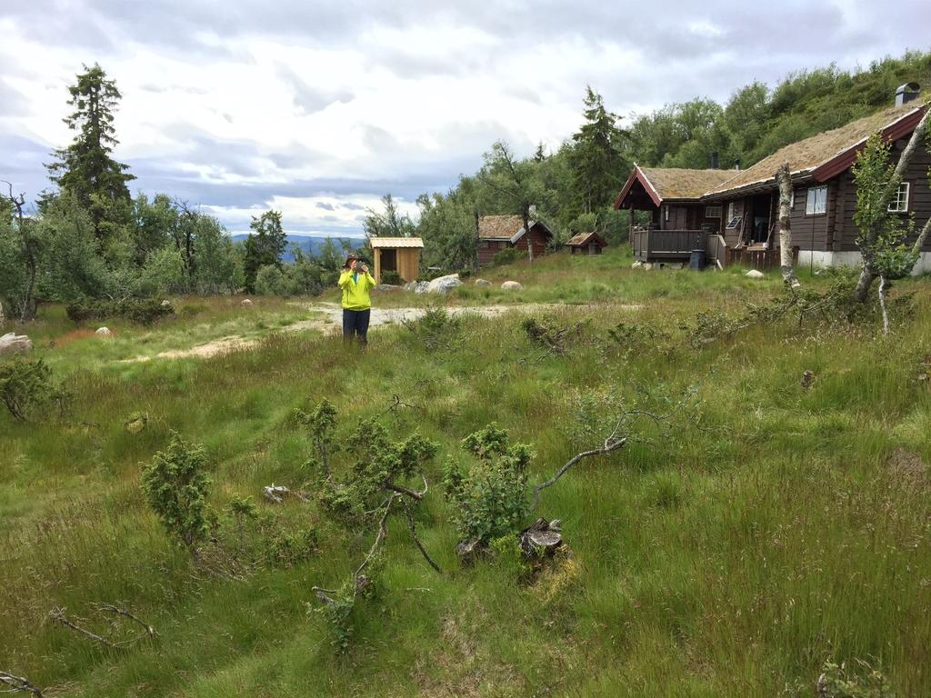 Oppland fylkeskommune: Utforming av planbestemmelser bør hindre store skjæringer og terrenginngrep. Tomter med terreng brattere enn 1:4 bør ikke bygges ut.