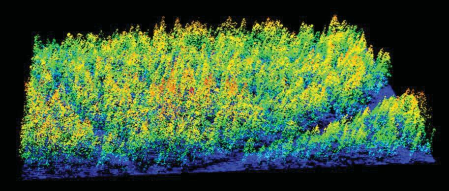 med forskjellig punkttetthet ble utført i forskjellige skanningsblokker (Figur 5). I denne oppgaven er det kun brukt laserdata fra skanningsblokken med minimum 2pkt/m².