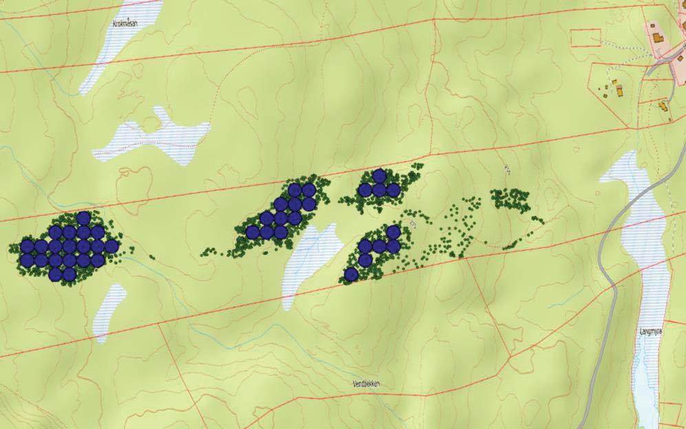 Figur 7: Prøveflatene ble systematisk lagt ut på hogstfeltet, her i størrelse 400m² pr prøveflate. Prøveflatene ble lagt ut virtuelt i tre størrelser: 100m², 200m² og 400m².