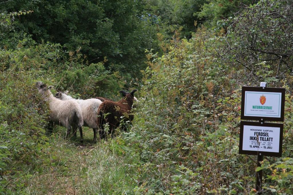 Naturreservatet ble åpnet for