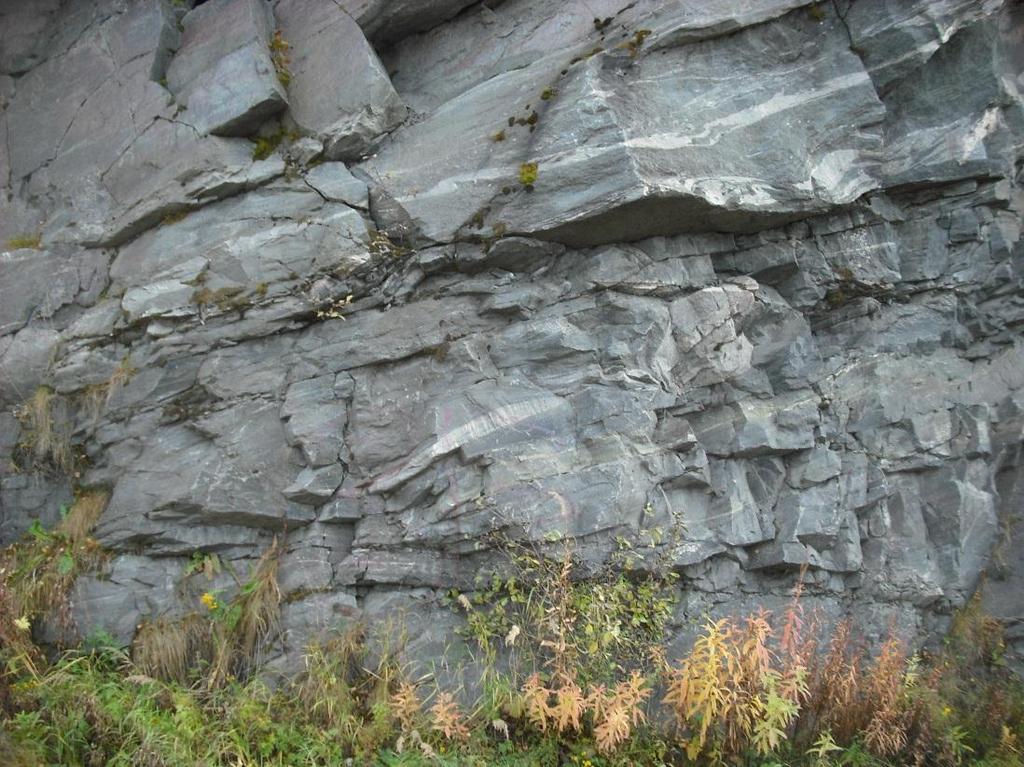 Kvarts-/granittiske-ganger Foto 3: Spredte kvarts-/granittiske-ganger av varierende mektighet fra 5 cm til