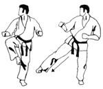 Middle Front Kick Chudan Mae Geri Upper Front Kick Lower Roundhouse Kick Middle Roundhouse Kick Jodan Mae - Geri Gedan Mawashi - Geri Chudan Mawashi - Geri Upper Roundhouse Kick Jodan Mawashi Geri