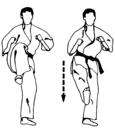 Middle Back Kick Chudan Ushiro - Geri Upper Back