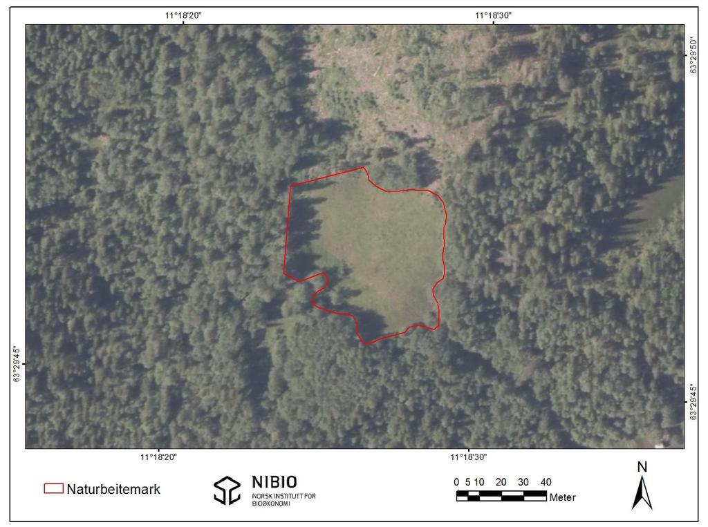 3.5 Beitland vest Figur 33. Oversikt over lokaliteten Beitland vest. Kartgrunnlag: Norge Digitalt.