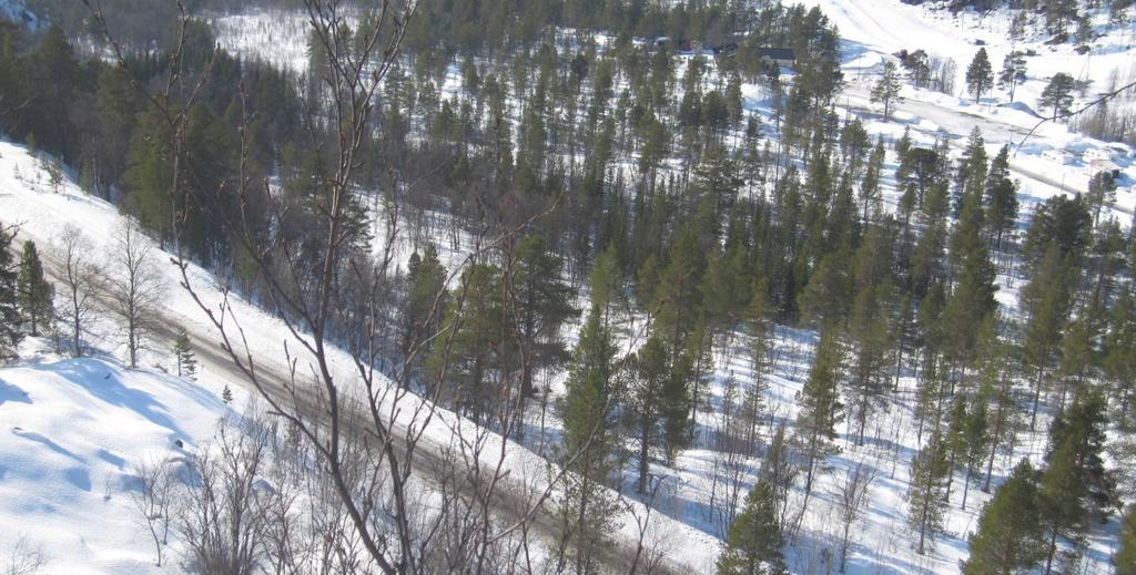 og retningslinjer Planens navn Detaljregulering for Nordelvdalen caravanoppstilling Arkivsak