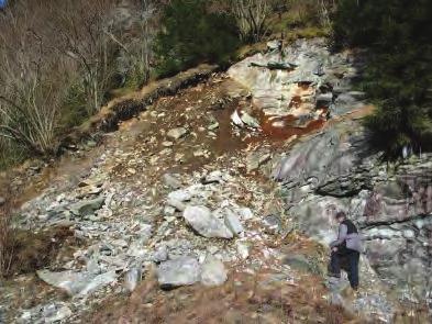 Side 2 av 4 Åsheimsdalen v/natursti Beskrivelse: Naturlig skråning >27 o med tynt løsmassedekke av forvitringsjord og skredmateriale over berggrunn av gneis.