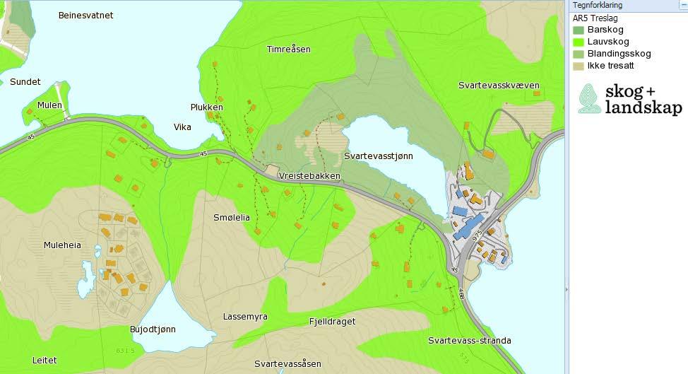 bunnvegetasjon og mosekledde skjæringer karakteriserer strekningen. Ved toppen av planområdet avtar vegetasjonstettheten og mer glissen bjørkeskog dominerer området.