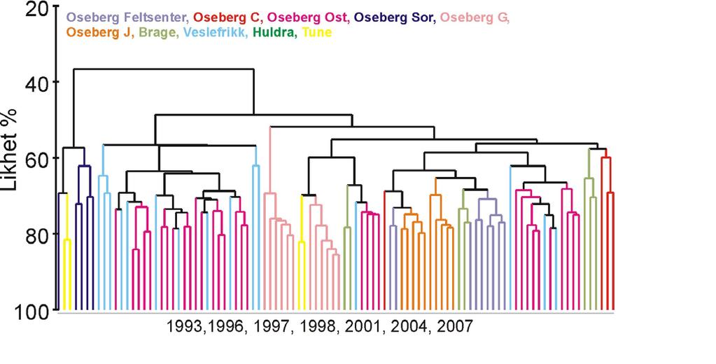 Midtre gruppe består av stasjoner som ligger på østsiden av feltsenteret på Oseberg Øst og en del av stasjonene fra Veslefrikk. Stasjonene i midtre gruppe har forholdsvis fint sediment.