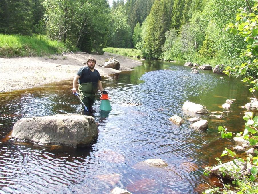 140.Z Salvassdraget Det er bare kjent en lokalitet med elvemusling i Salvassdraget, men to bestander. Hendelva er lakseførende nedenfor Kvernfossen og laks antas å være vert for elvemusling her.