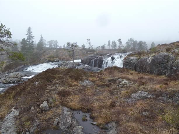 Temaet verdifulle naturtyper vurderes til